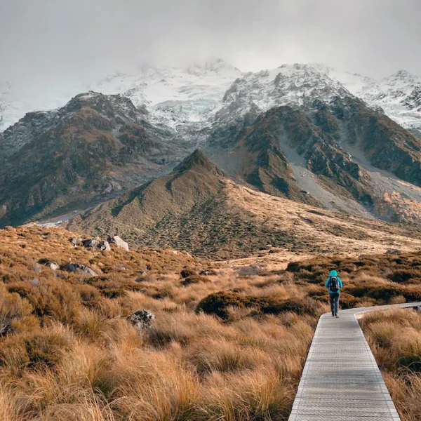 1E1426FB-062E-4CDE-9D9D-6BADF4BF210F