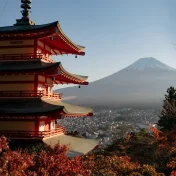 7CC446E6-C647-46C6-84FA-DA0FE22797AC