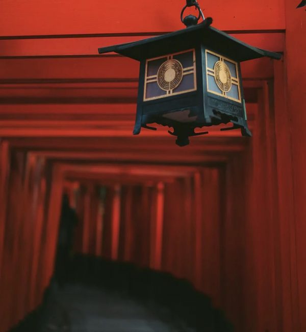 D9D207A2-9C04-422C-923C-8C64CC05B820