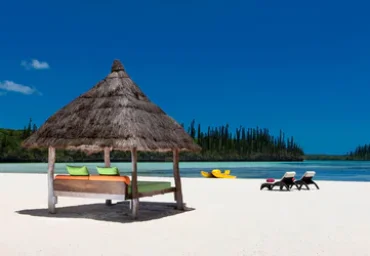 FB8A384D-AF83-4081-984F-F22ED3B85F87